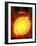 Sun And Its Planets-Detlev Van Ravenswaay-Framed Photographic Print