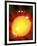 Sun And Its Planets-Detlev Van Ravenswaay-Framed Photographic Print