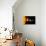 Sun And Its Planets-Detlev Van Ravenswaay-Photographic Print displayed on a wall