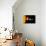 Sun And Its Planets-Detlev Van Ravenswaay-Mounted Photographic Print displayed on a wall