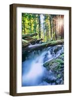 Sun and Panther Creek Flowing Through Forest, Columbia River Gorge, Washington-Vincent James-Framed Photographic Print