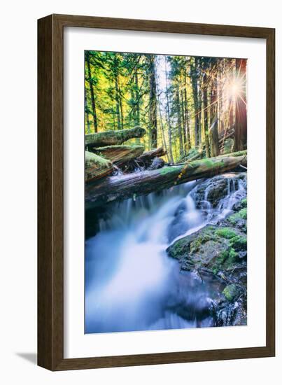 Sun and Panther Creek Flowing Through Forest, Columbia River Gorge, Washington-Vincent James-Framed Photographic Print