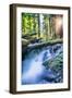 Sun and Panther Creek Flowing Through Forest, Columbia River Gorge, Washington-Vincent James-Framed Photographic Print