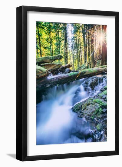 Sun and Panther Creek Flowing Through Forest, Columbia River Gorge, Washington-Vincent James-Framed Photographic Print