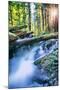 Sun and Panther Creek Flowing Through Forest, Columbia River Gorge, Washington-Vincent James-Mounted Photographic Print