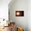 Sun And Planets, Size Comparison-Detlev Van Ravenswaay-Premium Photographic Print displayed on a wall