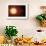 Sun And Planets, Size Comparison-Detlev Van Ravenswaay-Framed Photographic Print displayed on a wall