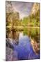 Sun and Reflection at Mirror Lake, Yosemite-Vincent James-Mounted Photographic Print