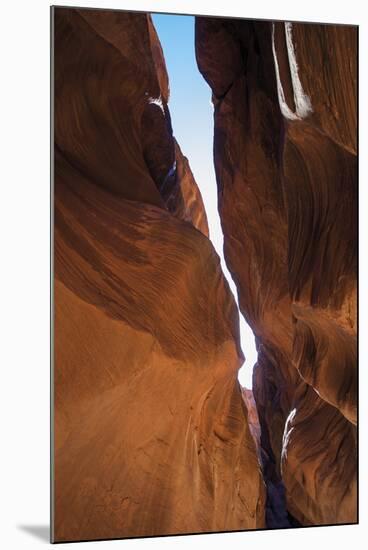 Sun and Shade-Andrew Geiger-Mounted Giclee Print