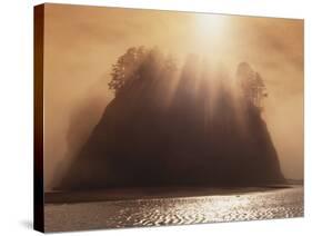 Sun Beams Breaking through Fog over Sea Stack-James Randklev-Stretched Canvas