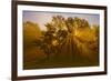 Sun Beams Passing Through Misty Trees, Montezuma National Wildlife Refuge, New York, Usa-Marie Read-Framed Photographic Print