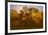 Sun Beams Passing Through Misty Trees, Montezuma National Wildlife Refuge, New York, Usa-Marie Read-Framed Photographic Print