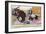 Sun Bear and Giant Panda-null-Framed Premium Giclee Print