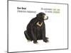 Sun Bear (Helarctos Malayanus), Mammals-Encyclopaedia Britannica-Mounted Poster