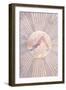 Sun Boho Yoga Pink 5-Sarah Manovski-Framed Giclee Print