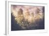 Sun Break Trees and Fog California Coast-Vincent James-Framed Photographic Print