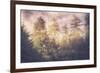 Sun Break Trees and Fog California Coast-Vincent James-Framed Photographic Print