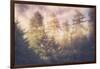 Sun Break Trees and Fog California Coast-Vincent James-Framed Photographic Print