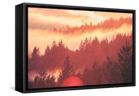 Sun Burned Fog Mount Tamalpais, Marin County, San Francisco-Vincent James-Framed Stretched Canvas