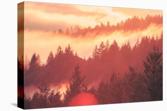 Sun Burned Fog Mount Tamalpais, Marin County, San Francisco-Vincent James-Stretched Canvas