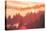 Sun Burned Fog Mount Tamalpais, Marin County, San Francisco-Vincent James-Stretched Canvas
