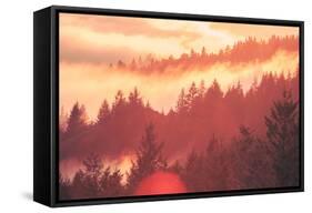 Sun Burned Fog Mount Tamalpais, Marin County, San Francisco-Vincent James-Framed Stretched Canvas