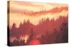 Sun Burned Fog Mount Tamalpais, Marin County, San Francisco-Vincent James-Stretched Canvas