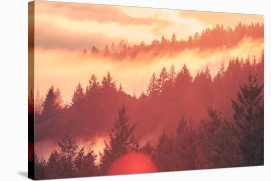 Sun Burned Fog Mount Tamalpais, Marin County, San Francisco-Vincent James-Stretched Canvas