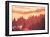 Sun Burned Fog Mount Tamalpais, Marin County, San Francisco-Vincent James-Framed Premium Photographic Print