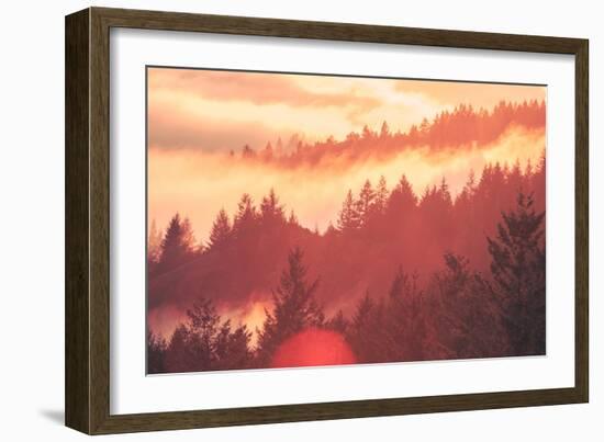 Sun Burned Fog Mount Tamalpais, Marin County, San Francisco-Vincent James-Framed Photographic Print