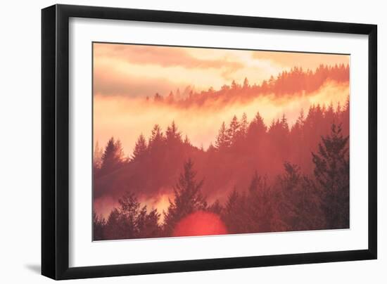 Sun Burned Fog Mount Tamalpais, Marin County, San Francisco-Vincent James-Framed Photographic Print