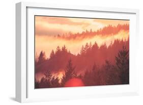 Sun Burned Fog Mount Tamalpais, Marin County, San Francisco-Vincent James-Framed Photographic Print