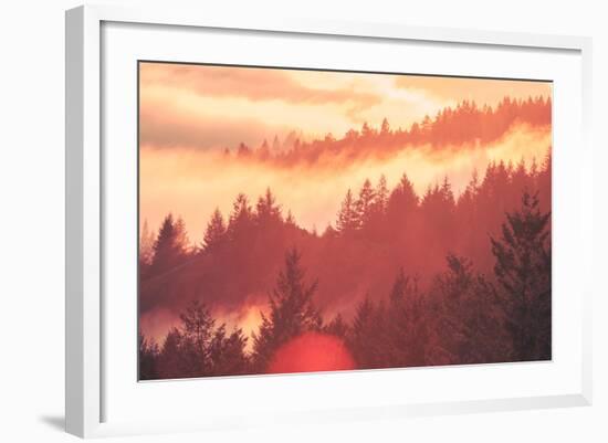 Sun Burned Fog Mount Tamalpais, Marin County, San Francisco-Vincent James-Framed Photographic Print