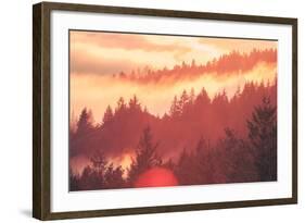 Sun Burned Fog Mount Tamalpais, Marin County, San Francisco-Vincent James-Framed Photographic Print