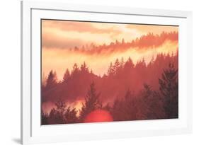 Sun Burned Fog Mount Tamalpais, Marin County, San Francisco-Vincent James-Framed Photographic Print