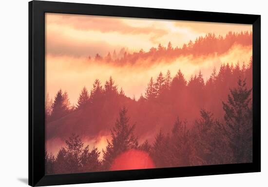 Sun Burned Fog Mount Tamalpais, Marin County, San Francisco-Vincent James-Framed Photographic Print