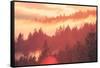 Sun Burned Fog Mount Tamalpais, Marin County, San Francisco-Vincent James-Framed Stretched Canvas