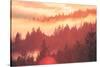 Sun Burned Fog Mount Tamalpais, Marin County, San Francisco-Vincent James-Stretched Canvas