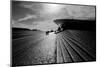 Sun by the Tejo-Guilherme Pontes-Mounted Photographic Print