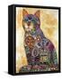 Sun Cat-Oxana Zaika-Framed Stretched Canvas