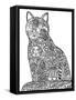 Sun Cat-Oxana Zaika-Framed Stretched Canvas