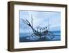 Sun-Craft Sculpture, Reykjavik, Iceland, Polar Regions-Miles Ertman-Framed Photographic Print