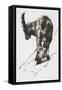 Sun, Crocheneville, 2005-Mark Adlington-Framed Stretched Canvas