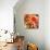 Sun Dahlia-Sarah Caswell-Mounted Giclee Print displayed on a wall