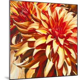 Sun Dahlia-Sarah Caswell-Mounted Giclee Print