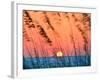 Sun Dance-Steve Vaughn-Framed Photographic Print