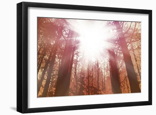 Sun Dance-Anna Polanski-Framed Art Print