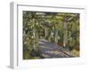 Sun Dappled Garden with Trellis-Colin Campbell Cooper-Framed Giclee Print