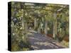 Sun Dappled Garden with Trellis-Colin Campbell Cooper-Stretched Canvas