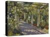 Sun Dappled Garden with Trellis-Colin Campbell Cooper-Stretched Canvas